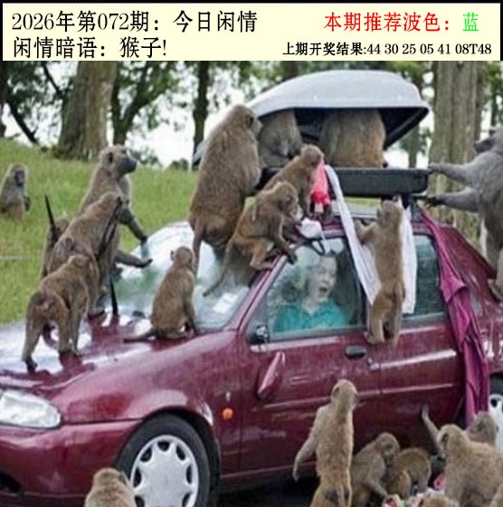 072期今日闲情2[图]