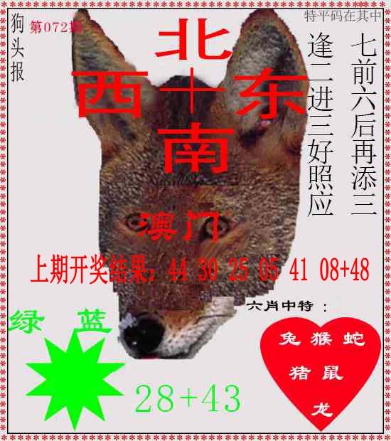 072期狗头报[图]