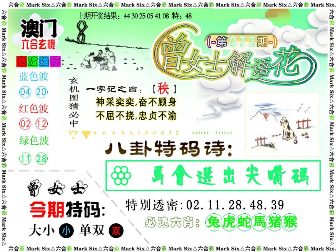 072期曾女士解语花[图]