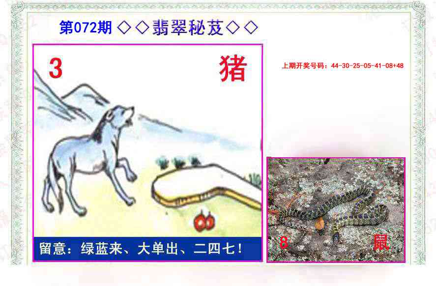 072期翡翠报[图]