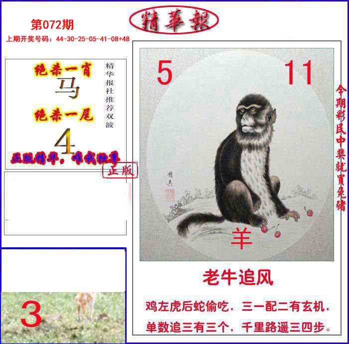 072期新精华报报[图]