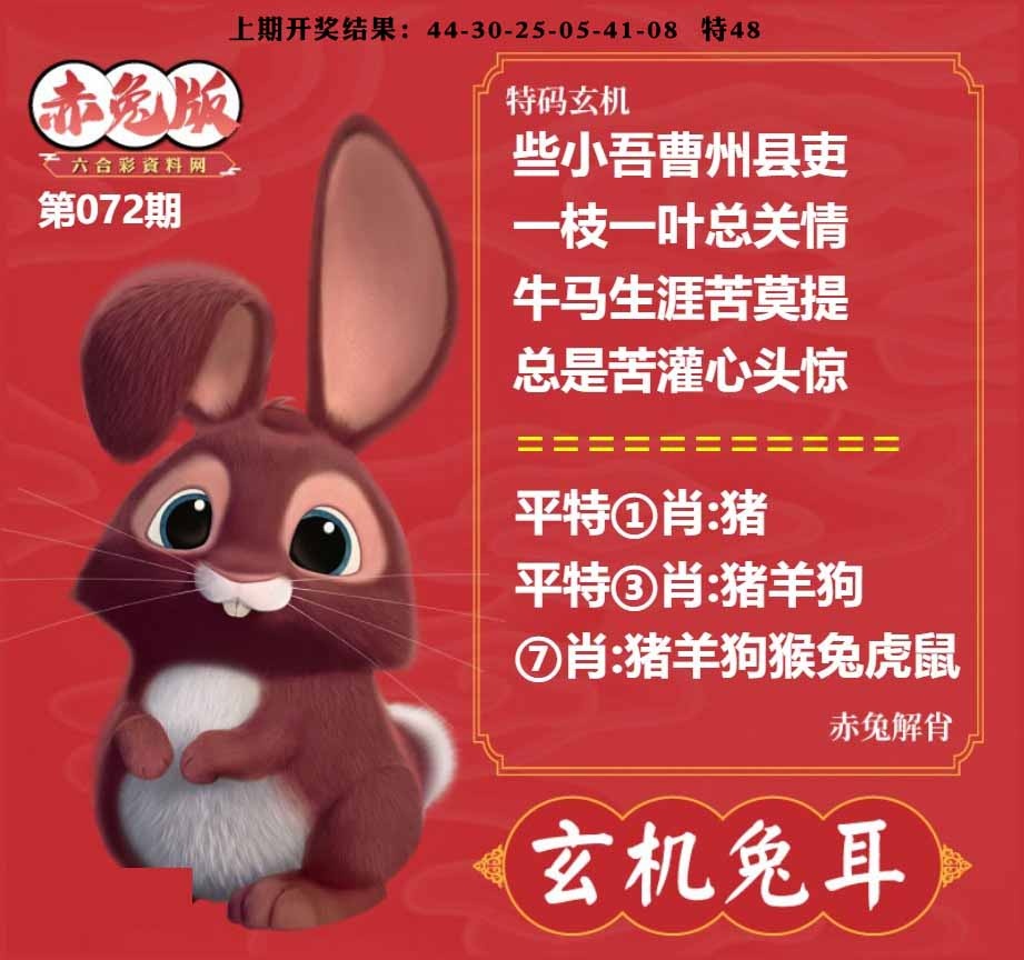 072期玄机兔耳[图]