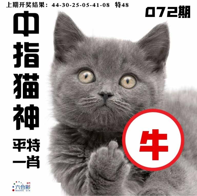 072期中指猫神[图]