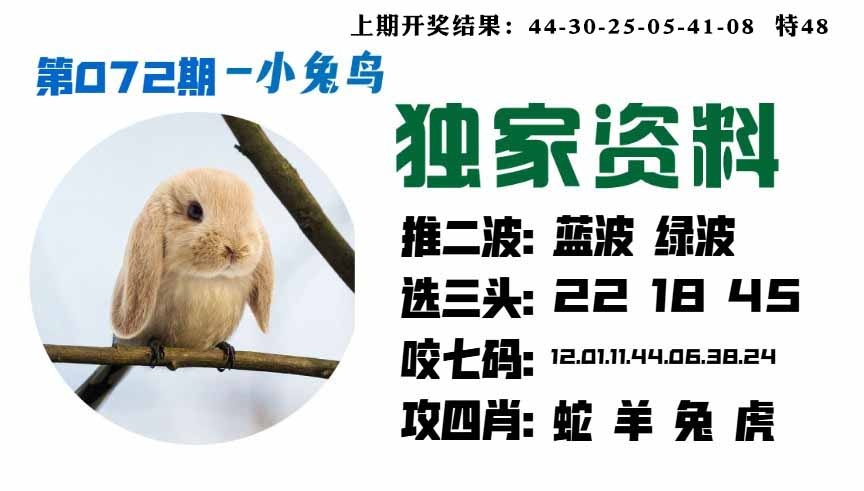 072期小兔鸟[图]